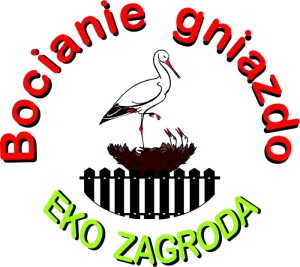 BocianieGniazdo1