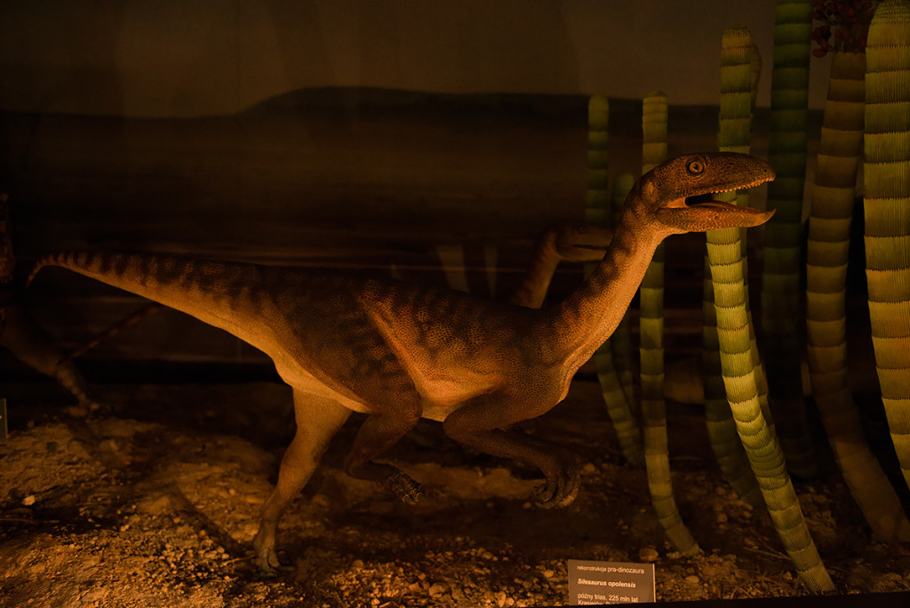 muzeum ewolucji