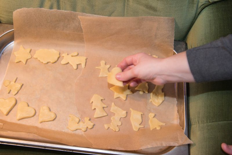 podróżuj z kretem filipem